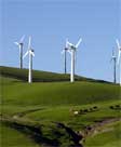 Windfarm on hillside