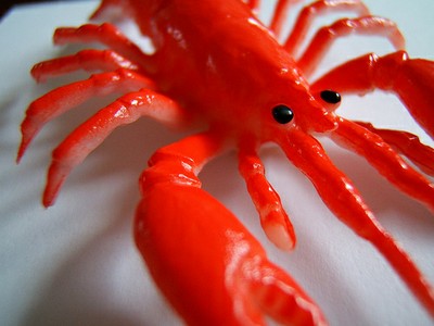 plastic lobster flickr wiegerrrr