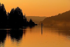Hood Canal-flickr-MiK