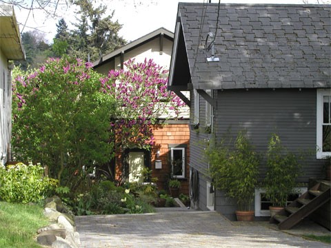 Backyard cottage