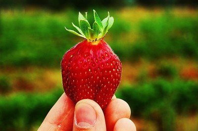 strawberry flickr leadenhall