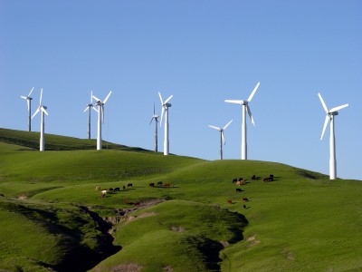 istock windmills