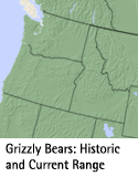 Grizzly map thumbnail CS06
