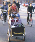 Bike Child Carrier 112w