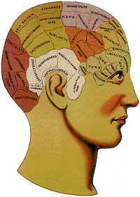 Old-fashioned diagram of brain areas (phrenology)