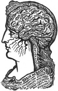 Stylized diagram of brain areas (phrenology)