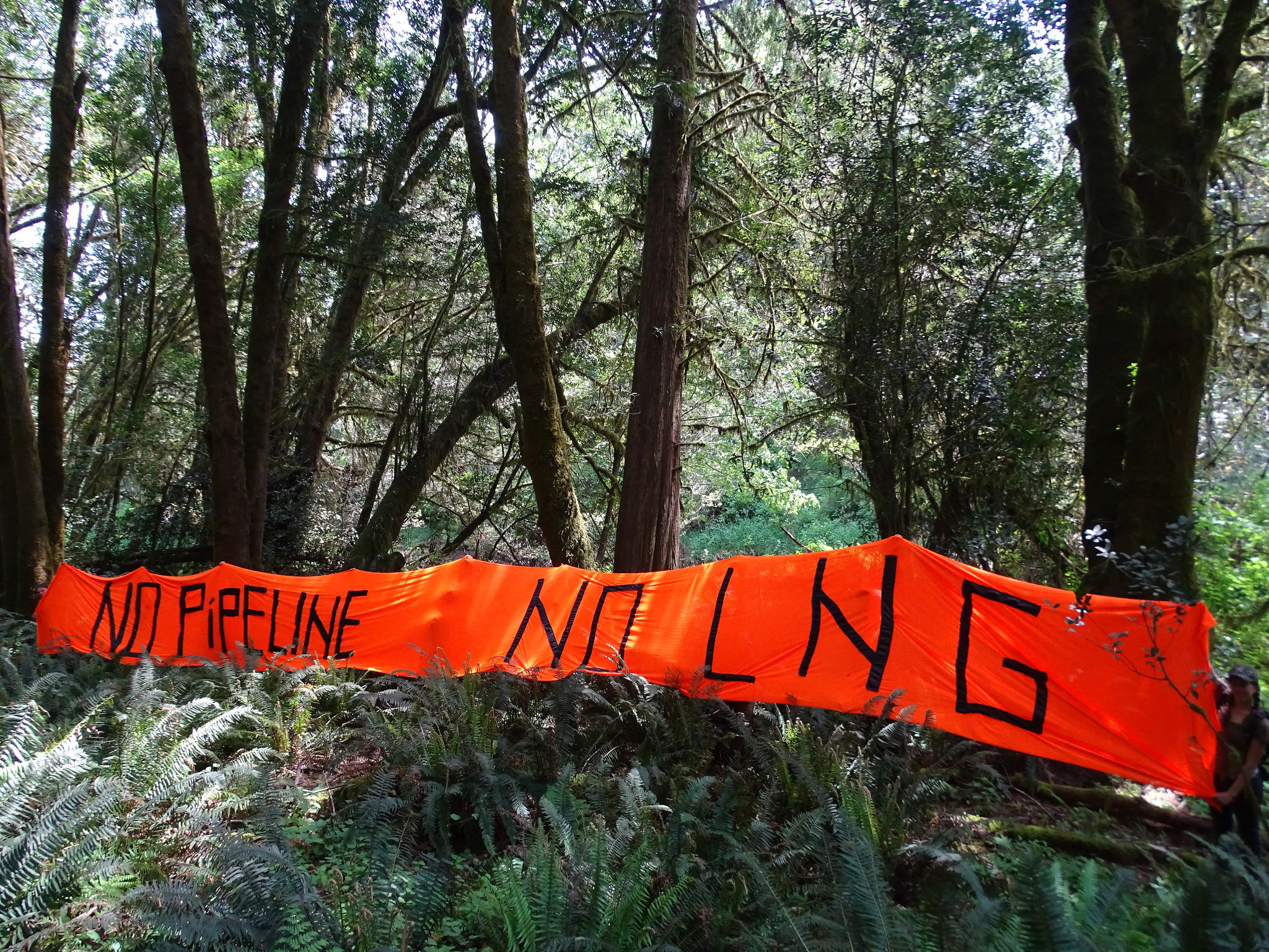 No pipeline, no LNG