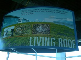 Living roof sign