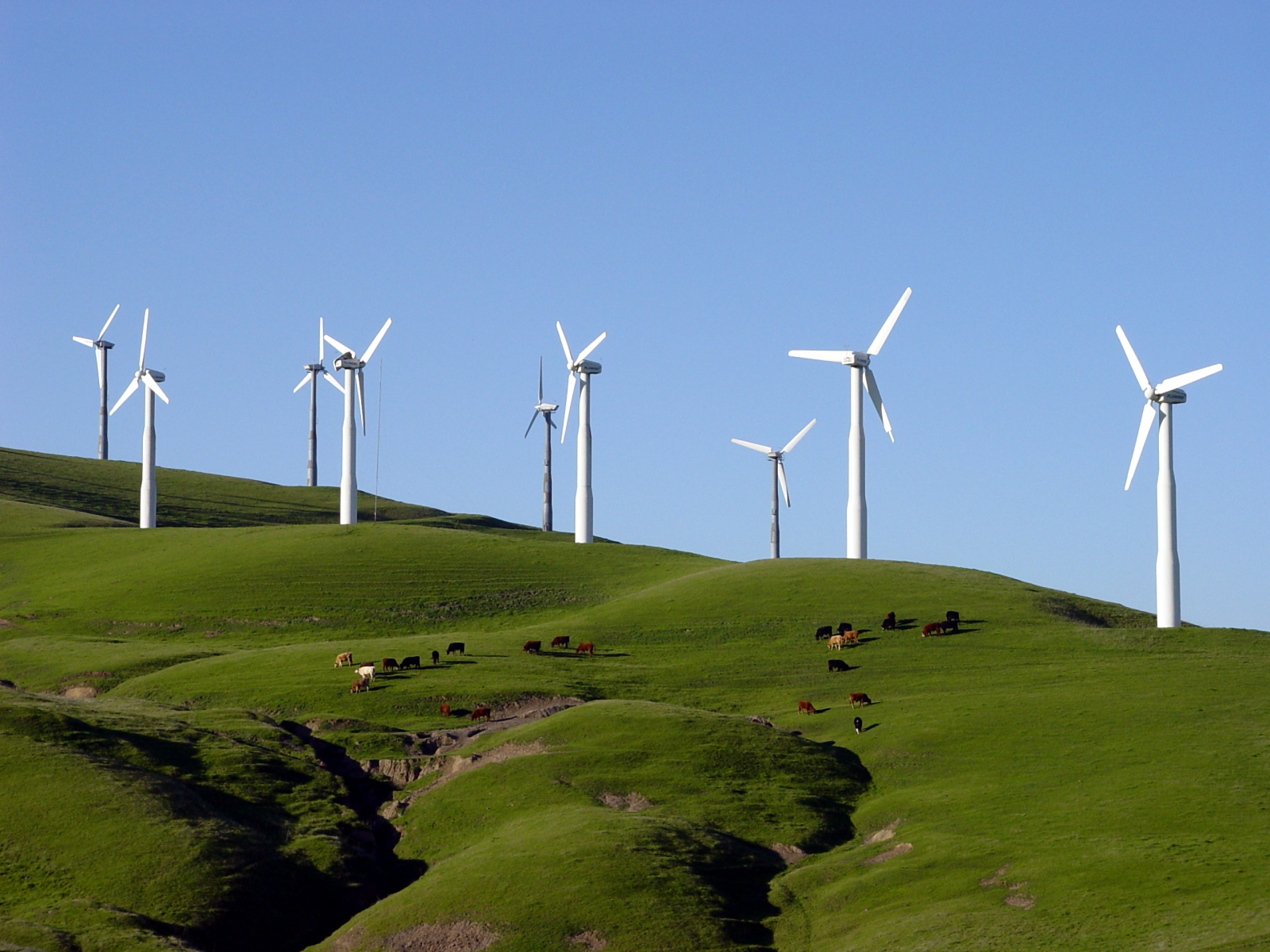 Windmills on hillside