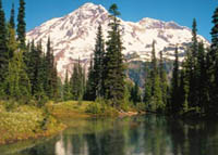 Forest and lake with Mount Rainier in the background