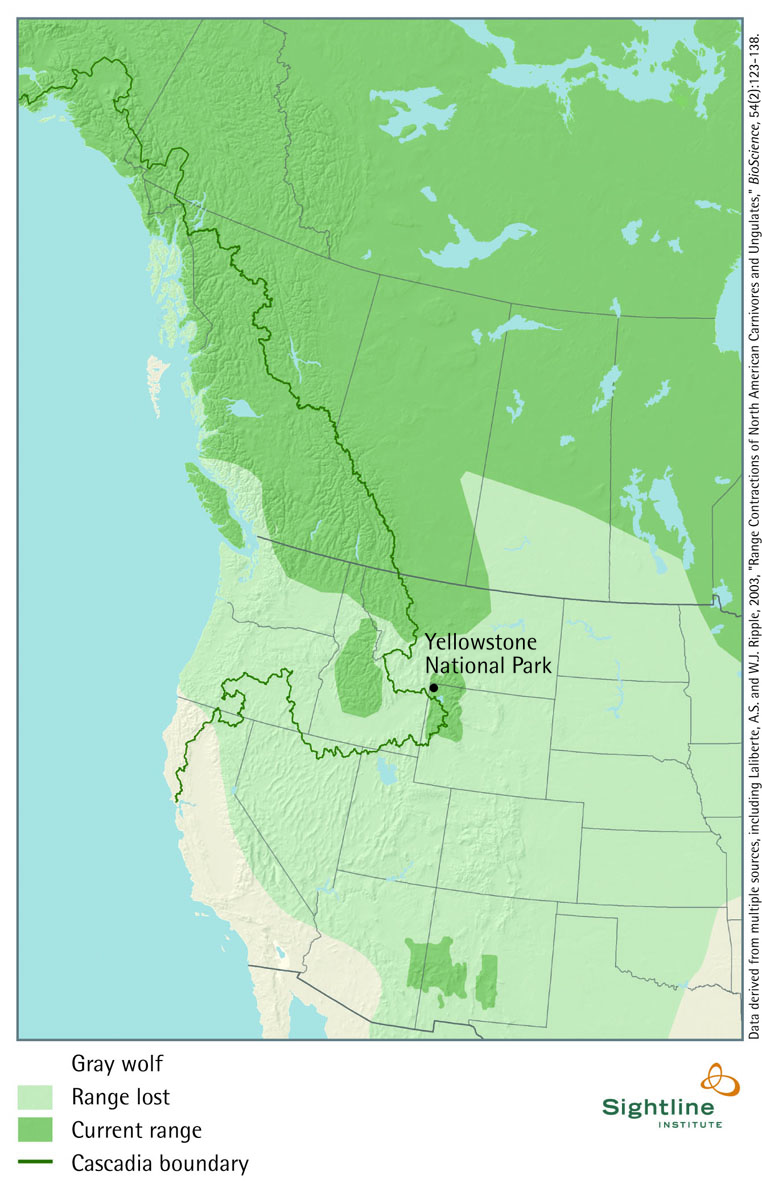 Gray Wolf Current And Historic Range Map Sightline Institute
