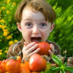 Boy in garden with tomatoes