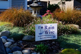 RainWise garden