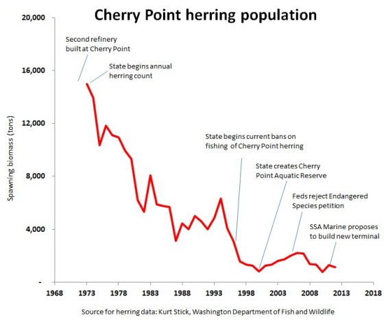 Cherry Point herring