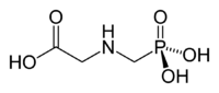 Chemical structure for Glyphosate; source, Wikipedia Commons  (For the OH groups connected to Phosphorus, the solid line represents a three-dimensional projection toward the viewer, and the dotted line a projection away from the viewer.)