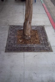 Pasadena tree grate, by Don Shoup.