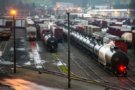 Oil trains in the railyards, Everett, WA. Photo by Paul K. Anderson, used with permission.