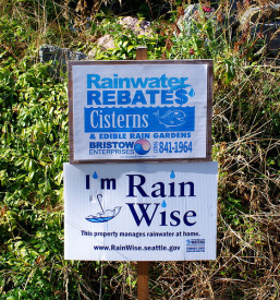 Rain garden signs in Seattle. Photo by Lisa Stiffler, used with permission.