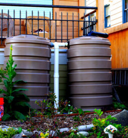Double rain barrel in Seattle by Lisa Stiffler (Used with permission) Rain barrels