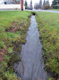 Stormwater fail: a non-green gutter pours polluted stormwater into Puget Sound.