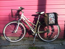 My bike, complete with a working kickstand, 24 fully functioning gears, and a trail-a-bike hitch.
