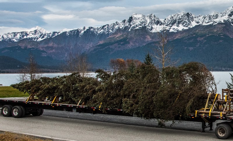 Kenworth - Capitol Christmas Tree on Trailer in Alaska, by Truck PR, cc.