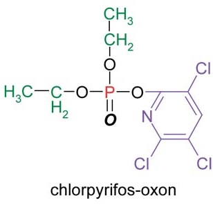 chlorpyrifos-oxon-by-natoinal-pesticide-information-center-used-under-public-domain