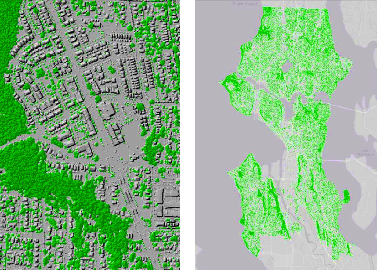 Seattle’s tree canopy at two different scales, as measured by aerial light detection and ranging (LiDAR) in 2016. Source: City of Seattle.