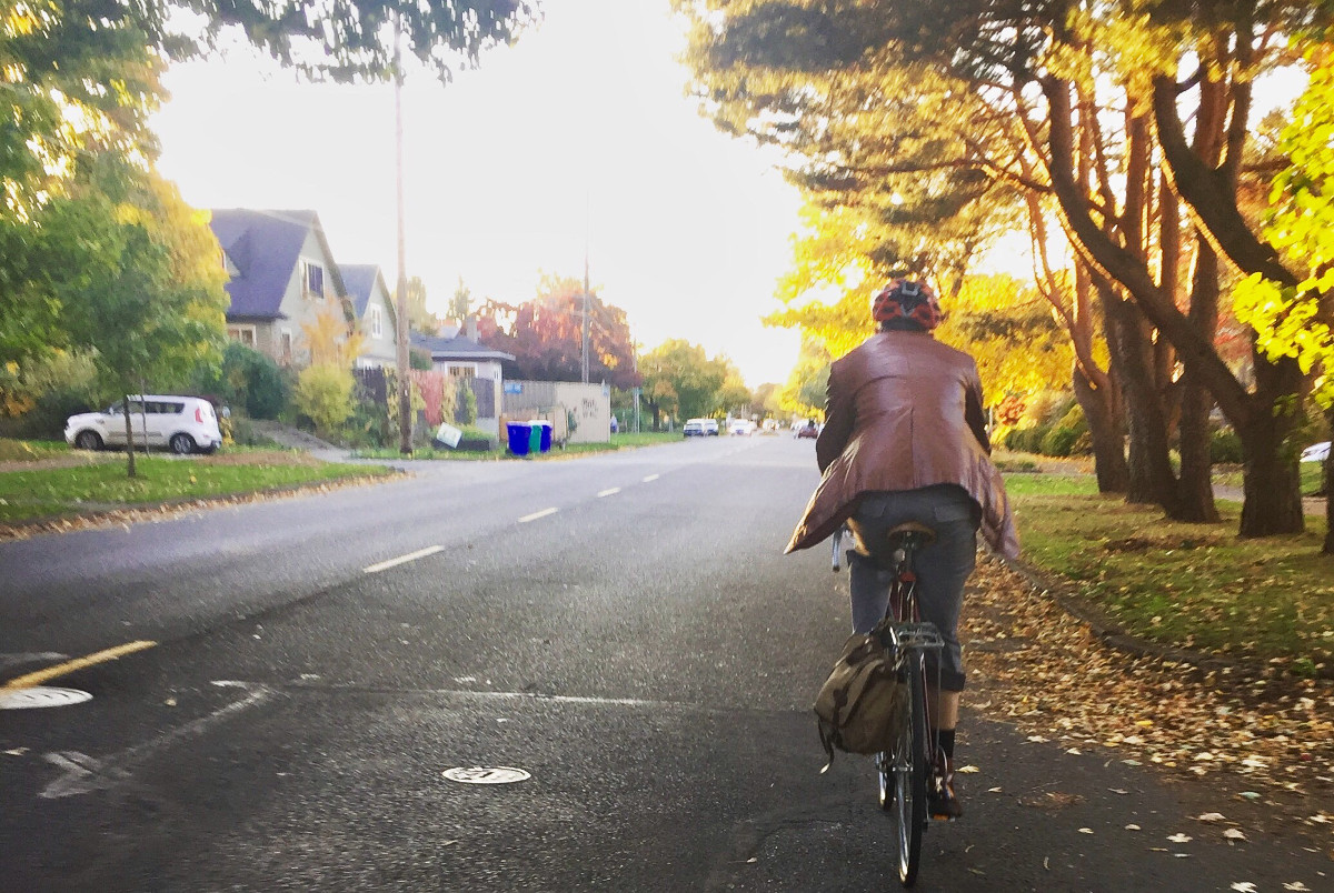 Bike rider rolling down a tree lined street in autumn