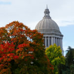 Olympia's capitol dome apparent behind trees in autumn