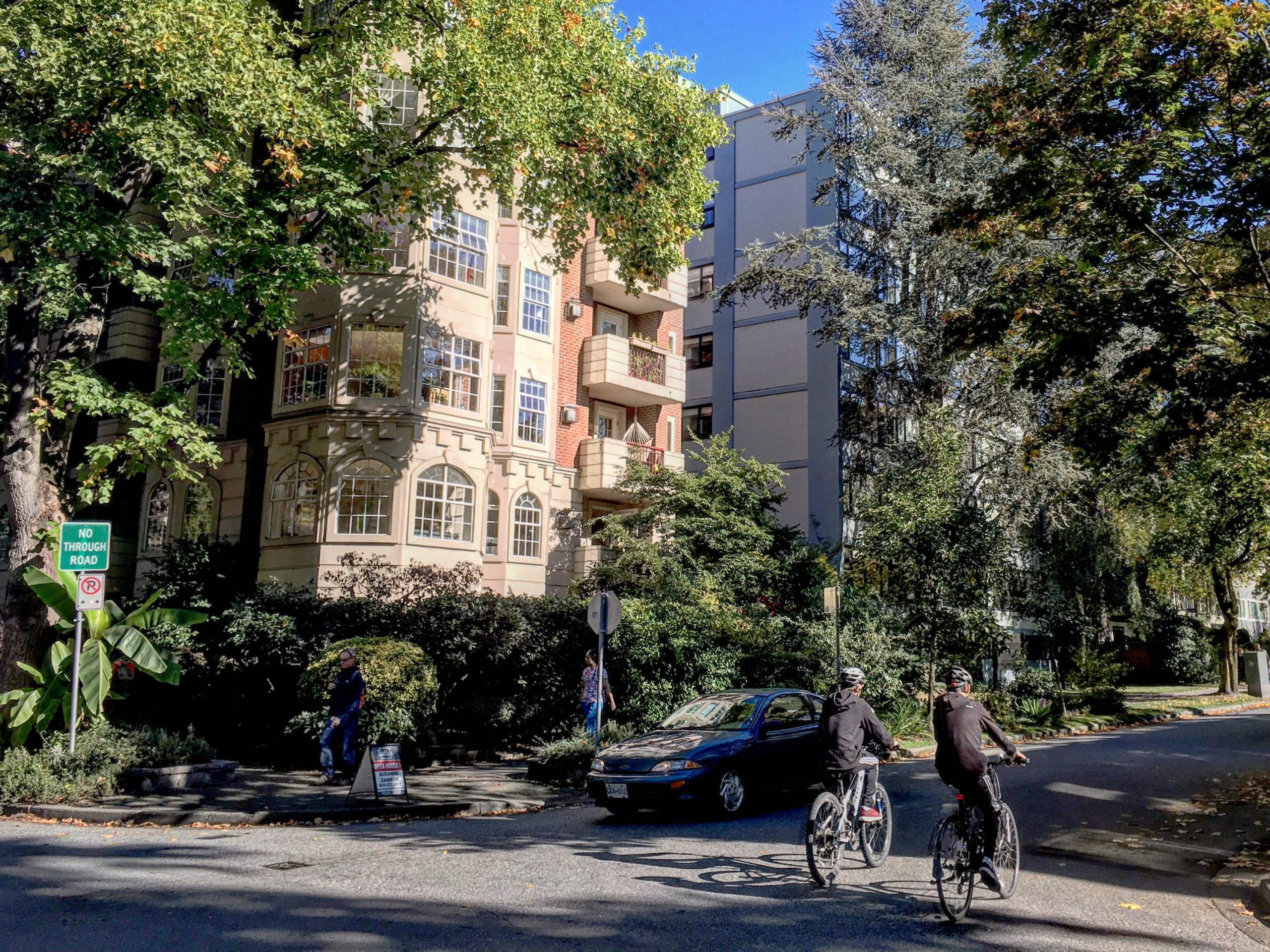 tree-lined street with mid-rise housing and two bicyclists riding on the street.