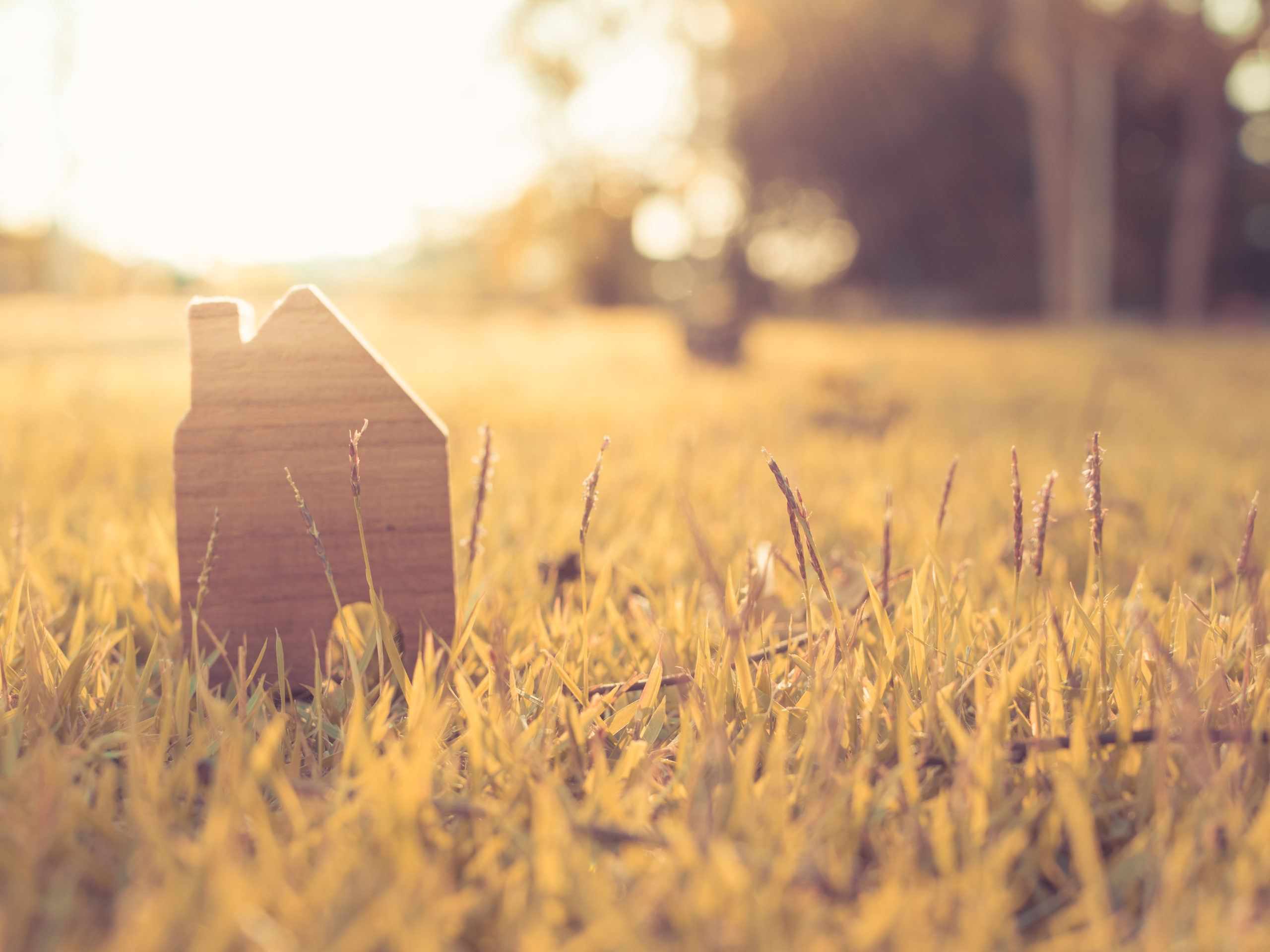 Wooden toy house perched on grass with the sun behind it