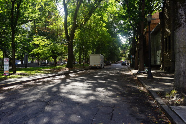 Photo of residential street lined with trees on both sides.