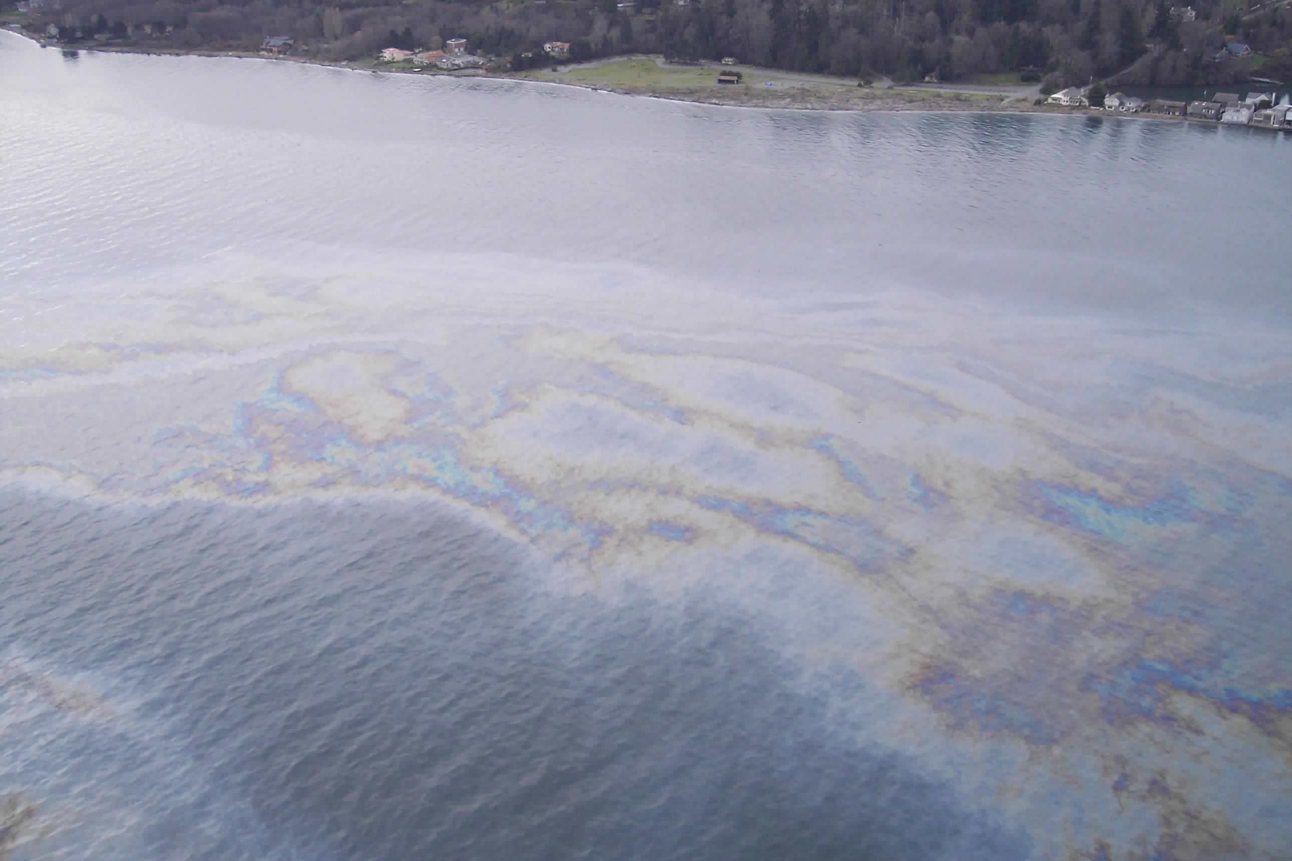 Aerial image of oil spread on a large body of water, the shore in the background.