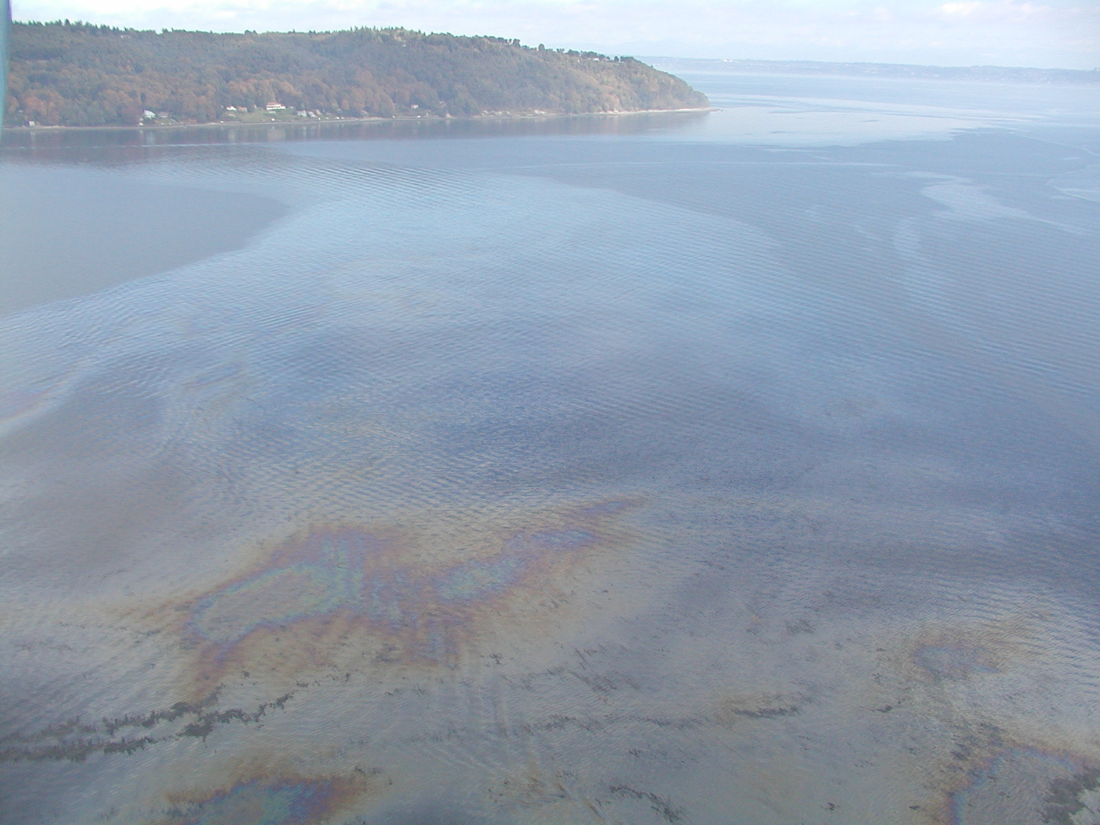 Photo of oil floating on open water.