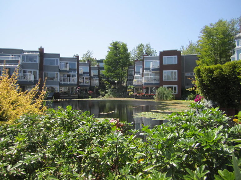 Waterfront houses in Vancouver, BC where several multistory buildings can be seen from a small pond with bushes in the foreground
