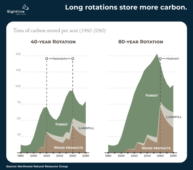 Two graphs that show a comparison of carbon sequestration abilities of a 40-year rotation vs 80-year rotation, with the latter rotation storing at a much higher and more efficient rate.