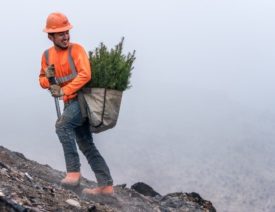 Tree planter in bright orange carrying a sack of saplings walking up a slope