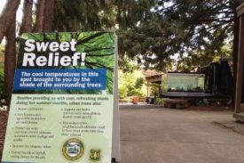Photo of an information sandwich board with "Sweet Relief!" prominent