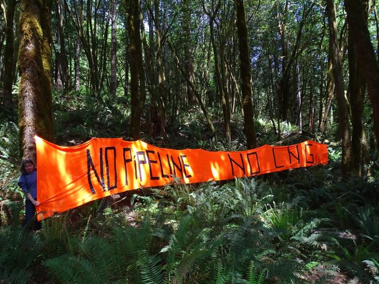 People holding up a large orange banner to protest a pipeline in the forest
