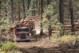 A log truck exits a ponderosa pine forest. Source: Marcus Kauffman, OR Dept of Forestry 