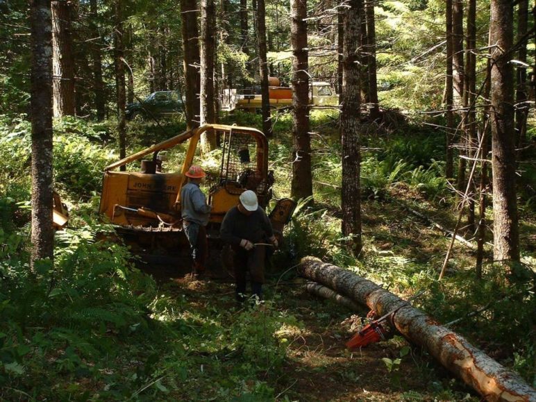 Photo of heavy machinery in the forest