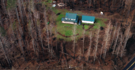 Fire-hardened home with a still-green lawn surrounded by burned out forest