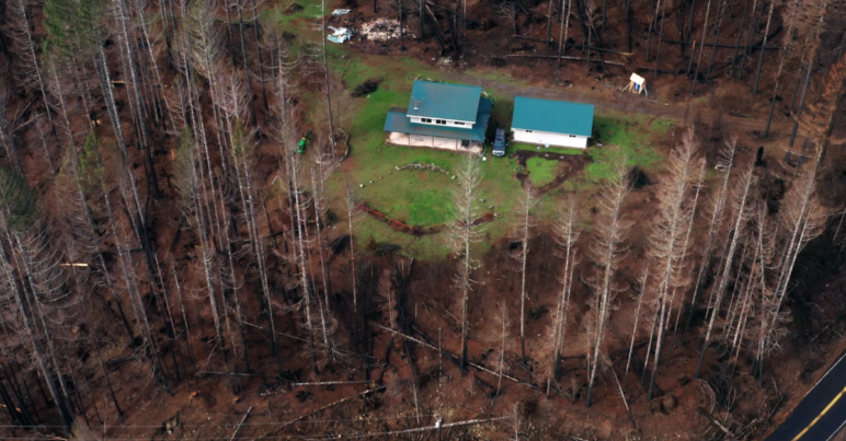 Fire-hardened home with a still-green lawn surrounded by burned out forest