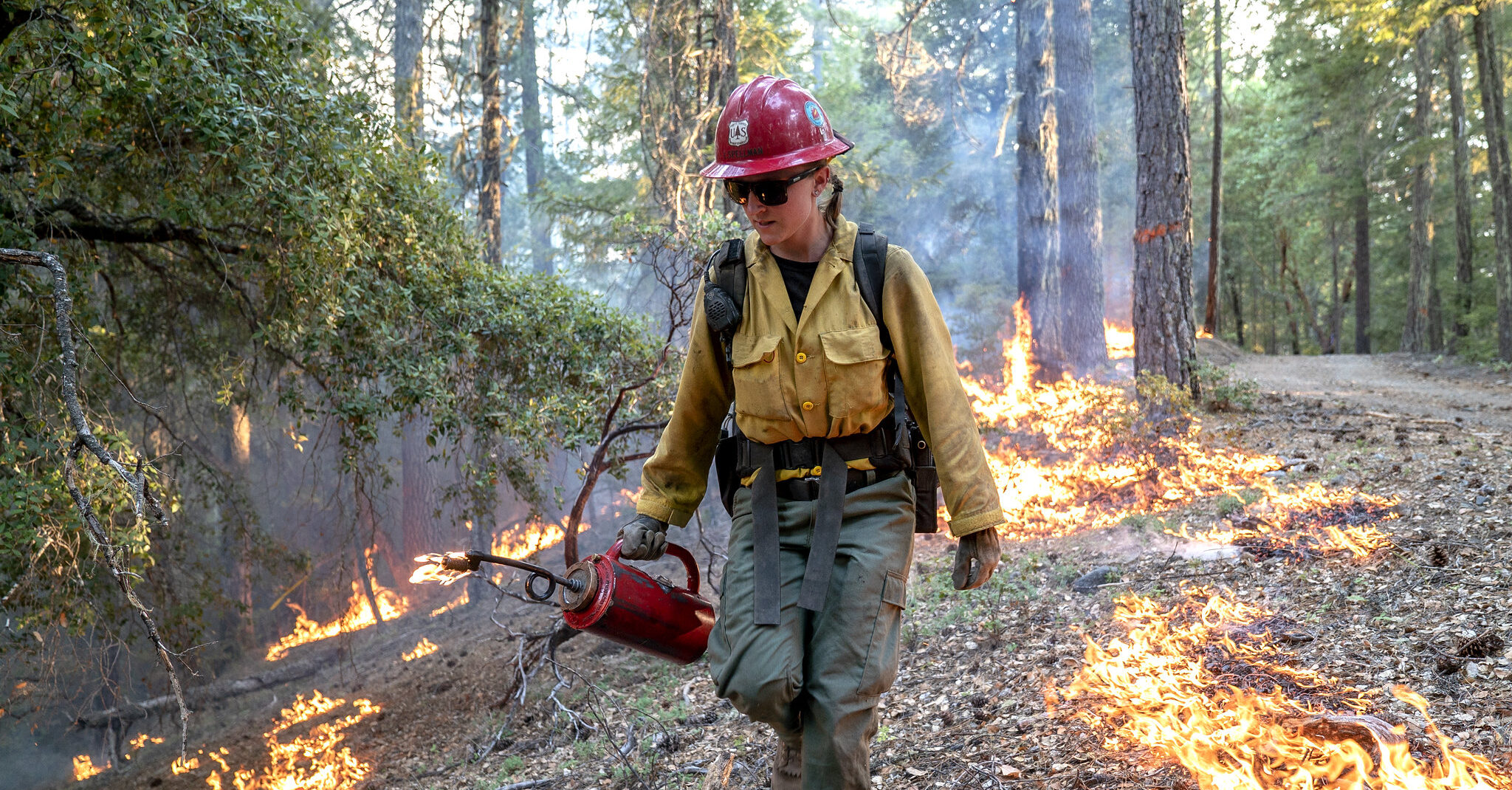 Firefighter in a low-burning forest controlling smaller fires to prevent bigger fires.