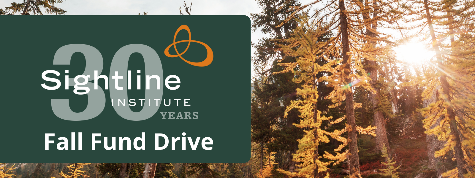 Banner for Sightline's 2023 Fall Fund Drive, with a larch-y background and celerating 30th year anniversary