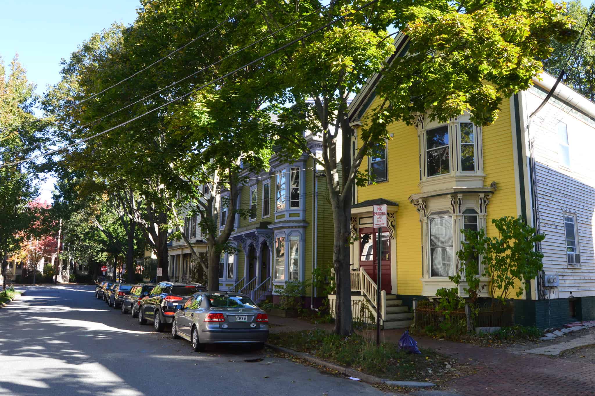 Tree Lined Street in Portland, Maine by Michael Stokes used under CC BY 2.0