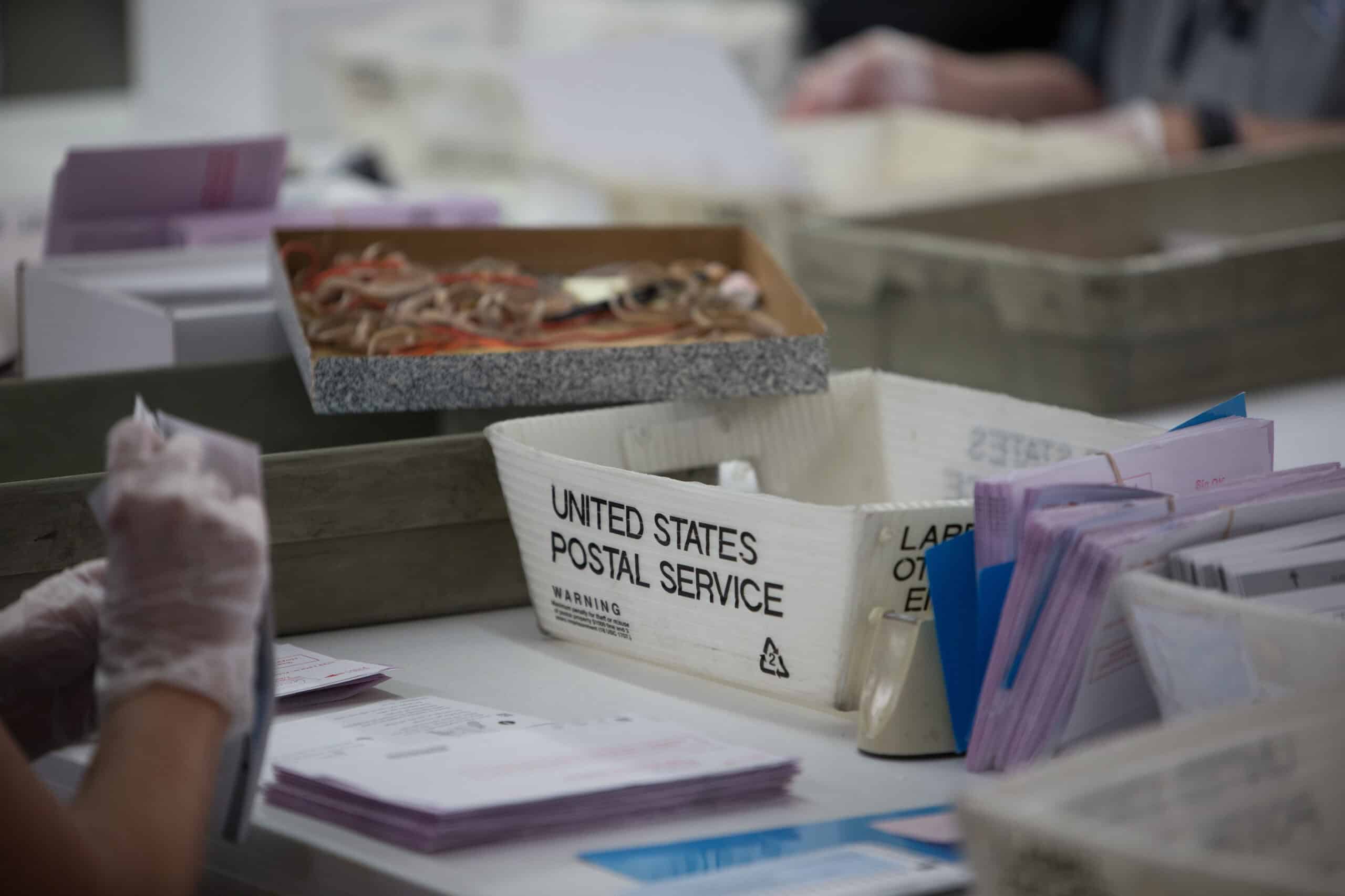 Election workers count vote by mail ballots from United States Postal Service. Photo by Trevor Bexon, via Shutterstock.