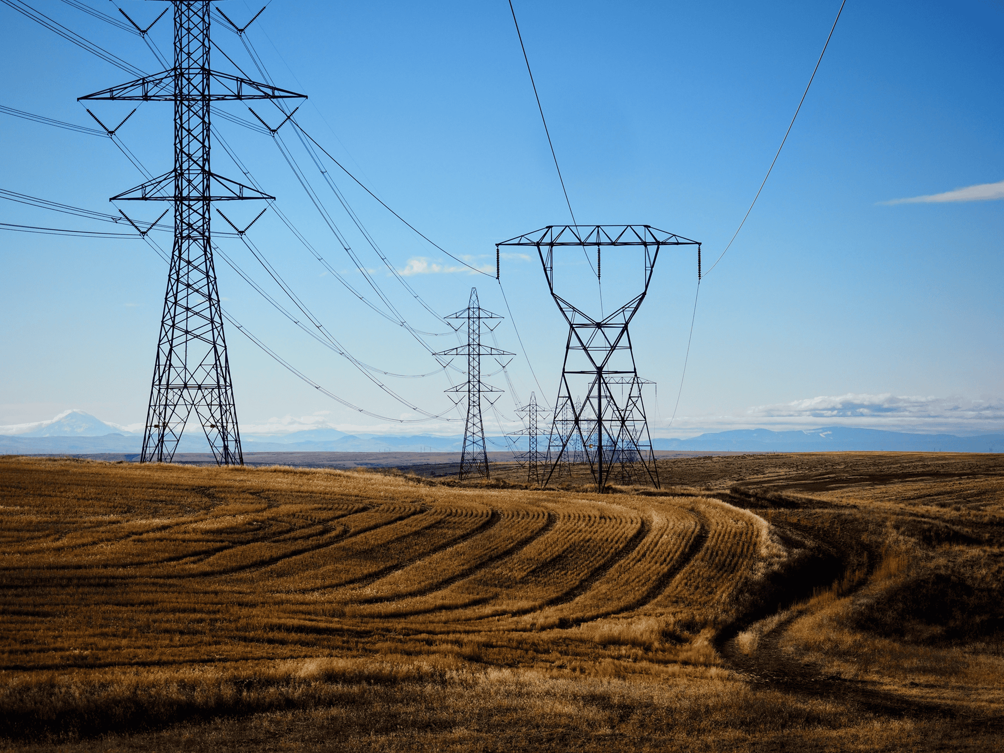 Transmission lines stretch over wheat fields in eastern Oregon.