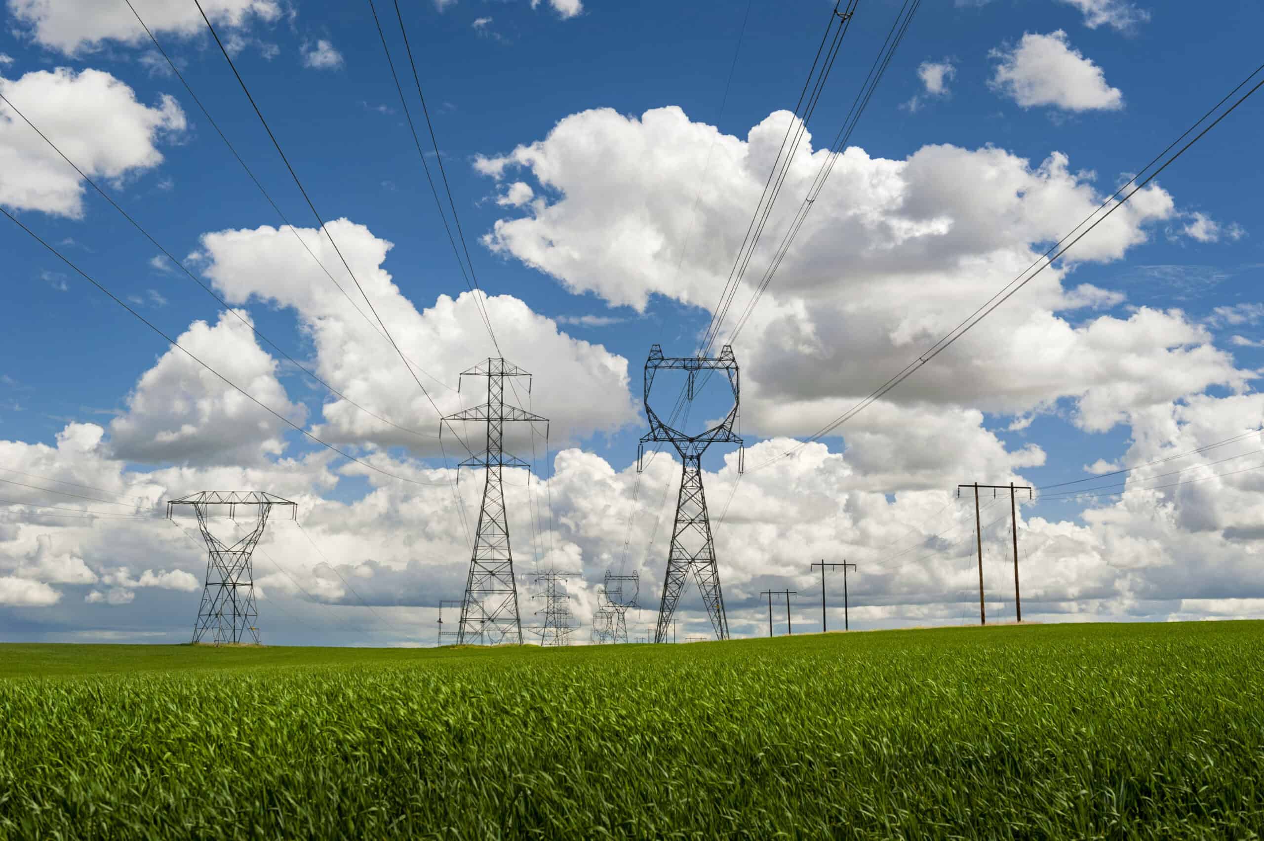 Transmission lines stretch through the Palouse region of eastern Washington state.